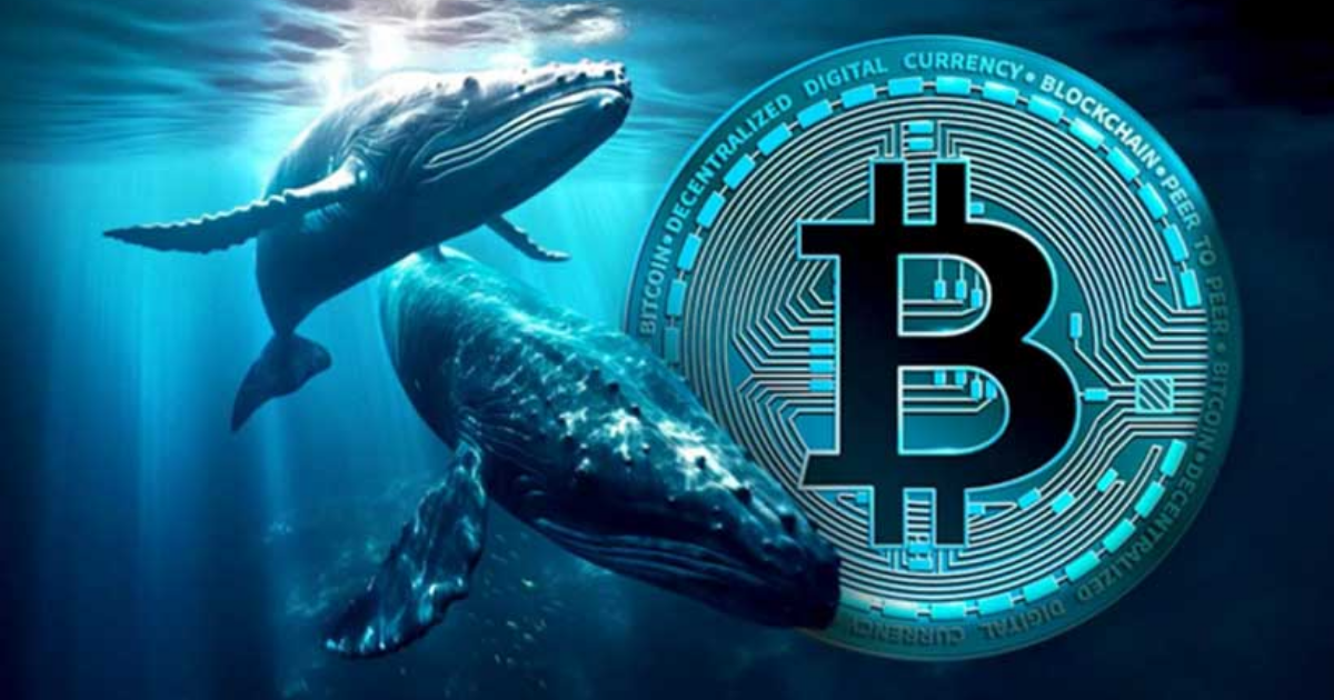 Bitcoin Whales Keep Accumulating as $94K Becomes Key Target