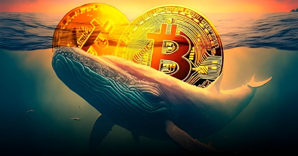 Bitcoin Whales Keep Accumulating as $94K Becomes Key Target