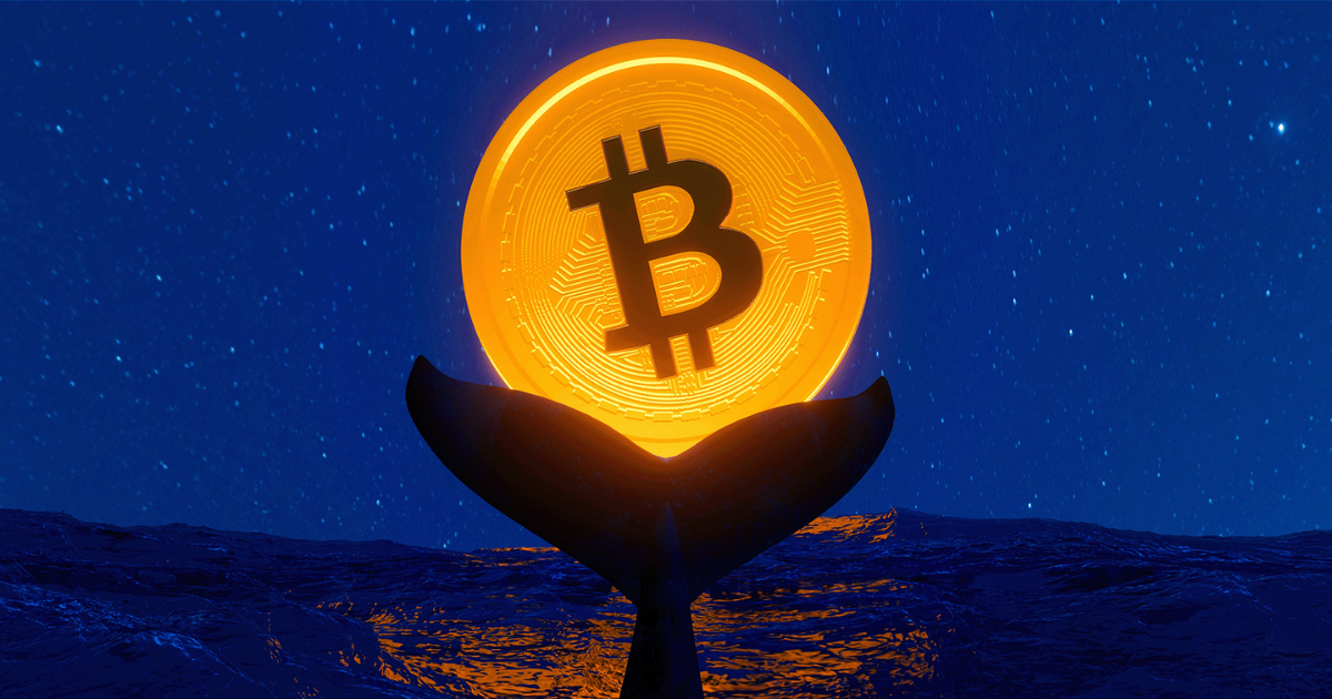 Bitcoin Whales Keep Accumulating as $94K Becomes Key Target